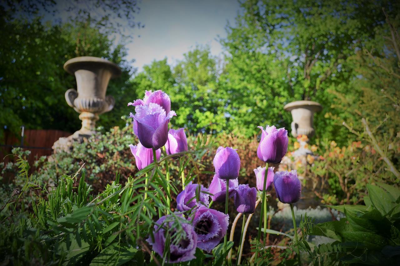 U Zlate Brany Cesky Raj Wellness Hotell Libuň Exteriör bild